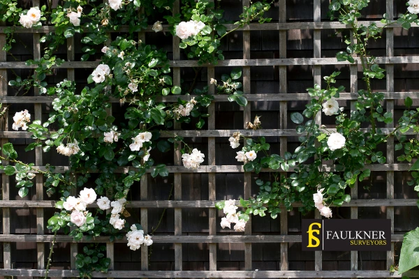 Can I put trellis on my Neighbours garage wall? 2 Do you want to adapt your neighbours garage door and add a trellis Brixton? Talk to Faulkner Surveyor Brixton